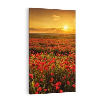 Obraz na płótnie 70x100 - Makowe uczucia - maki, kwiaty