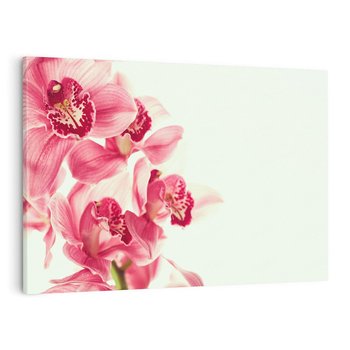 Obraz na płótnie 100x70 - Orchidea - delikatne kwiaty - orchidea, kwiaty