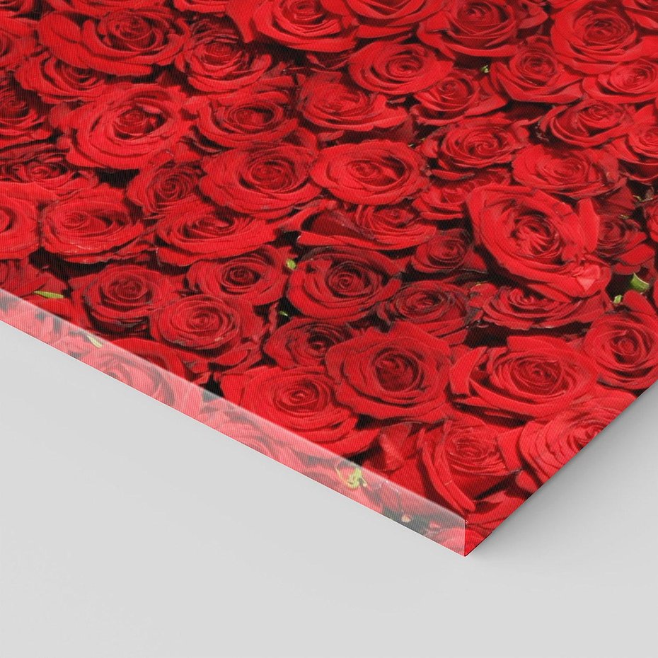 Obraz na płótnie 120x60 - Czerwona Pasja - czerwone, róże