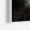 Obraz w ramie 50x50 - Urok Drogi - las, droga - rama biała