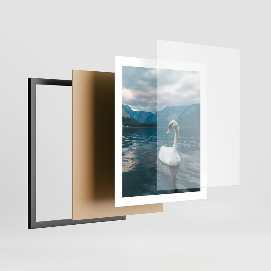 Plakat w ramie 40x50 - Łabędzi Śpiew - fotografia, plakat - rama czarna