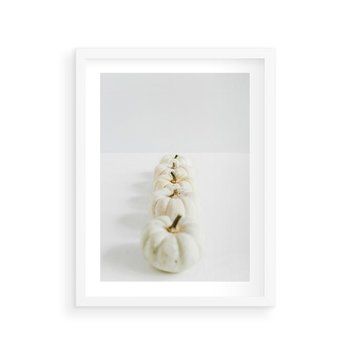 Plakat w ramie 40x50 - Białe Dynie - białe dynie, jesień - rama biała