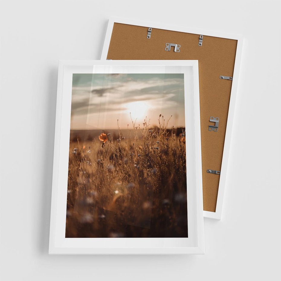 Plakat w ramie 50x70 - Zachwyt zachodem słońca na łące - zachód, słońca - rama biała