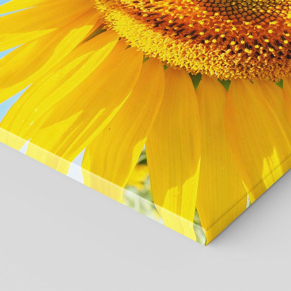 Obraz na płótnie 120x80 - Słoneczniki w naturalnym otoczeniu - słonecznik, natura