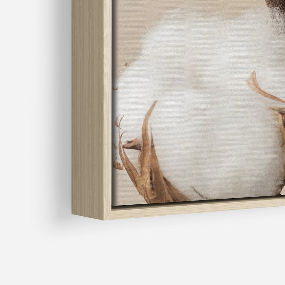 Obraz w ramie 50x70 - Bawełniana melancholia - bawełna, suche - rama drewno