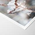 Plakat bez ramy 40x50 - Zimowy Urok Natury - gałązki pod śniegiem, natura