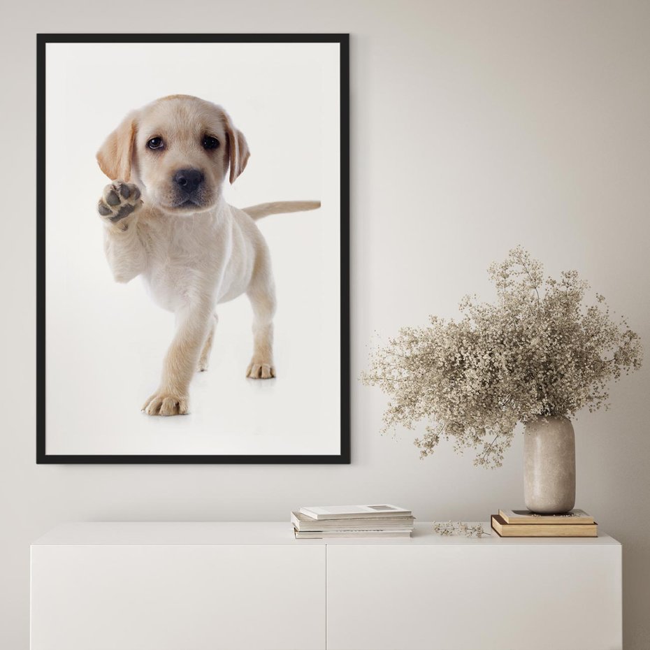 Plakat w ramie 30x40 - Szczeniak pełen radości - piesek, szczeniak - rama czarna