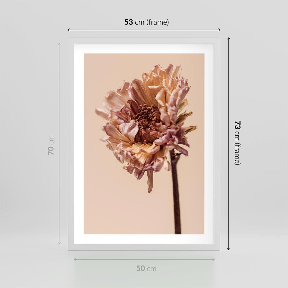 Plakat w ramie 50x70 - Delikatne piękno - suche, kwiaty - rama biała