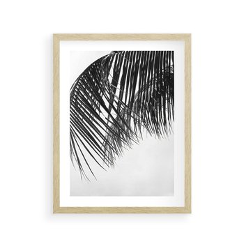 Plakat w ramie 30x40 - Czarno-Biały Kontrast - czarno białe zdjecie, palma - rama drewno