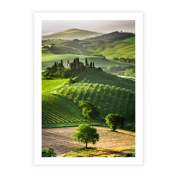 Plakat bez ramy 21x30 - Prowansja: malownicze winnice w kraju Włoch - Prowansja, Włochy