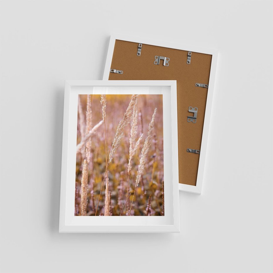 Plakat w ramie 30x40 - Sucha Trawa w Sierpniu - trawy, łąka - rama biała