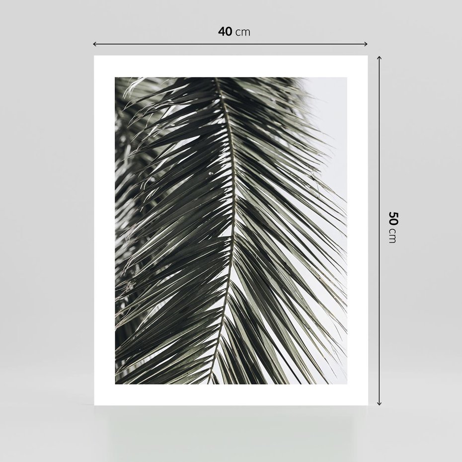 Plakat bez ramy 40x50 - Liść Palmy: Egzotyczny Detal Natury - palma, liść palmy