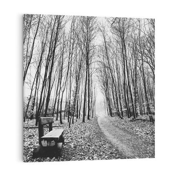Obraz na płótnie 40x40 - Spadające Liście - czarno białe zdjecie, park