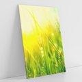 Obraz na płótnie 50x70 - Piękno Poranka - łąka, trawa