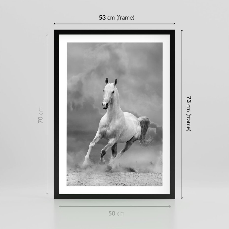 Plakat w ramie 50x70 - Elegancja w Czarno-Białym - koń, biało - rama czarna