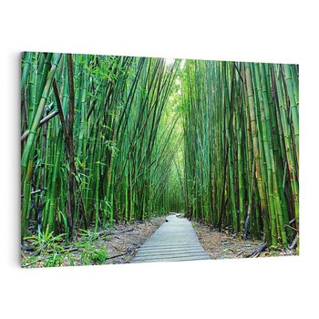 Obraz na płótnie 120x80 - Spacer wśród lasu - ścieżka, las