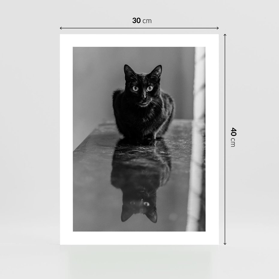Plakat bez ramy 30x40 - Kocie Oczy - kot, czarno białe zdjęcie