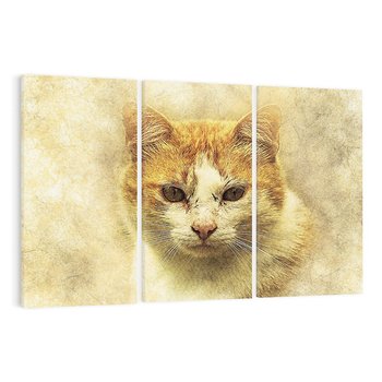 Obraz na płótnie 120x80 - Kot w abstrakcyjnym świecie - kot, sztuka