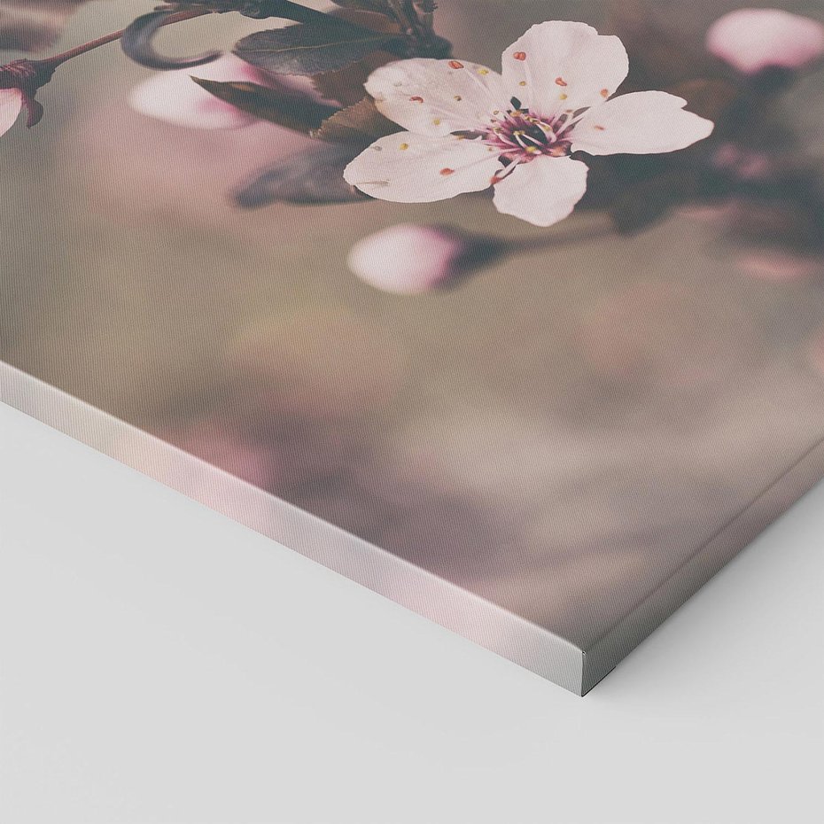 Obraz na płótnie 80x80 - Przemijający Urok - kwitnąca, wiśnia