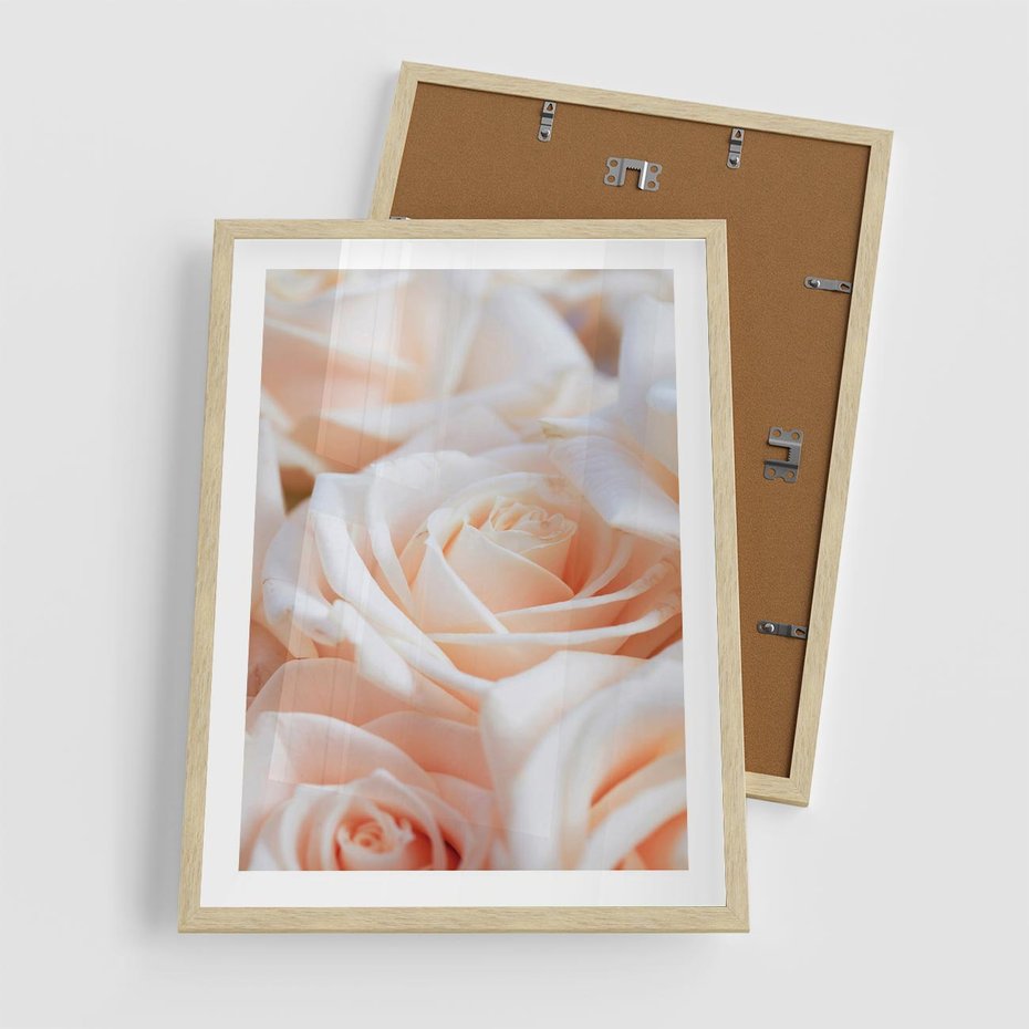 Plakat w ramie 50x70 - Aromatyczna Piękność - płatki herbacianej róży, kwiaty - rama drewno