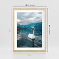 Plakat w ramie 30x40 - Łabędzi Śpiew - fotografia, plakat - rama drewno