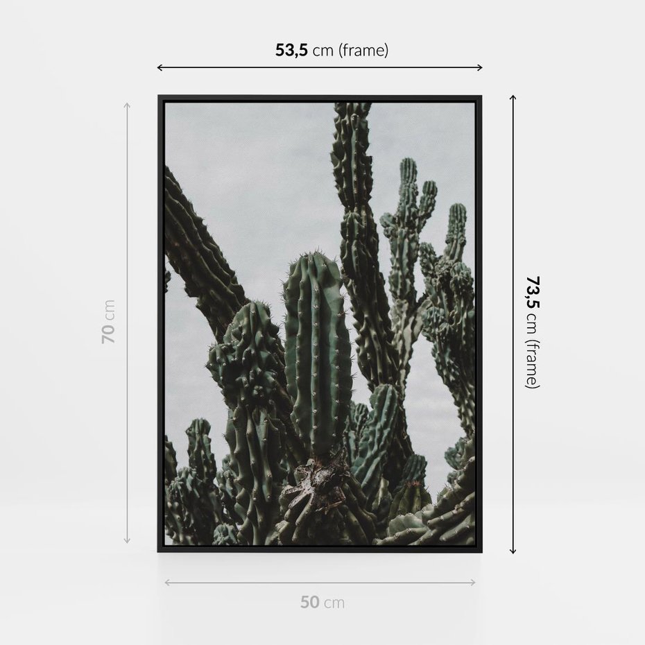 Obraz w ramie 50x70 - Boho oaza wśród kaktusów - kaktusy, pustynia - rama czarna