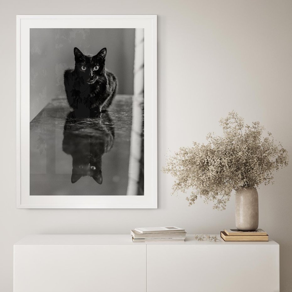 Plakat w ramie 30x40 - Kocie Oczy - kot, czarno białe zdjęcie - rama biała