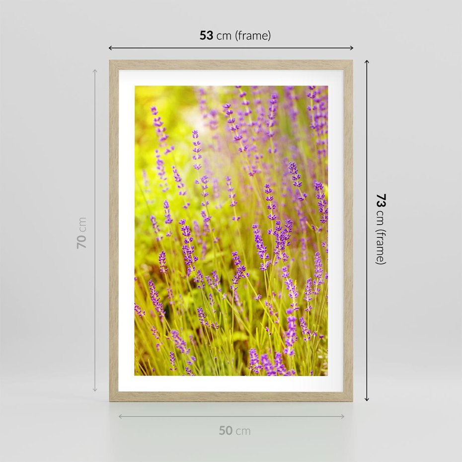 Plakat w ramie 50x70 - Delikatność natury - lawenda, kwiaty - rama drewno