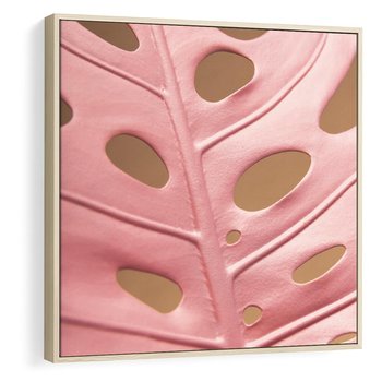 Obraz w ramie 50x50 - Różowa monstera w pełnym rozkwicie - różowa, monstera - rama drewno
