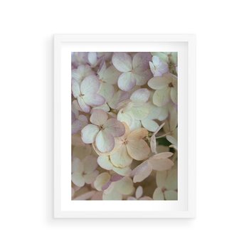 Plakat w ramie 30x40 - Kwiatowy taniec - kwiaty, hortensje - rama biała
