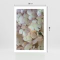 Plakat bez ramy 21x30 - Kwiatowy taniec - kwiaty, hortensje
