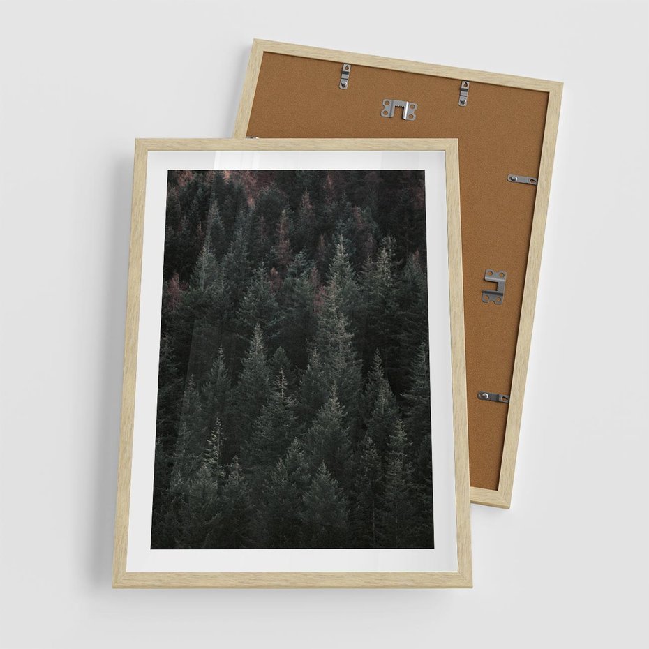 Plakat w ramie 50x70 - Wysoko nad Iglastym Lasem - las, perspektywa - rama drewno