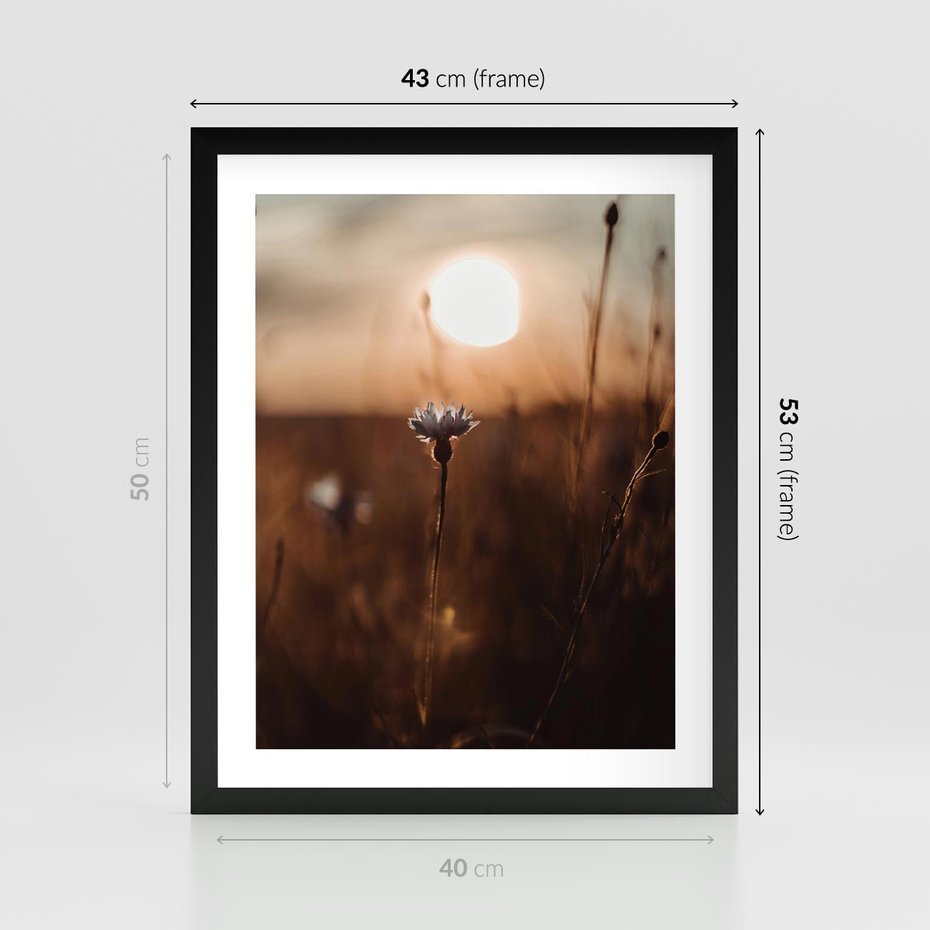 Plakat w ramie 40x50 - Spokój łąki pod zachodem słońca - zachód, słońca - rama czarna