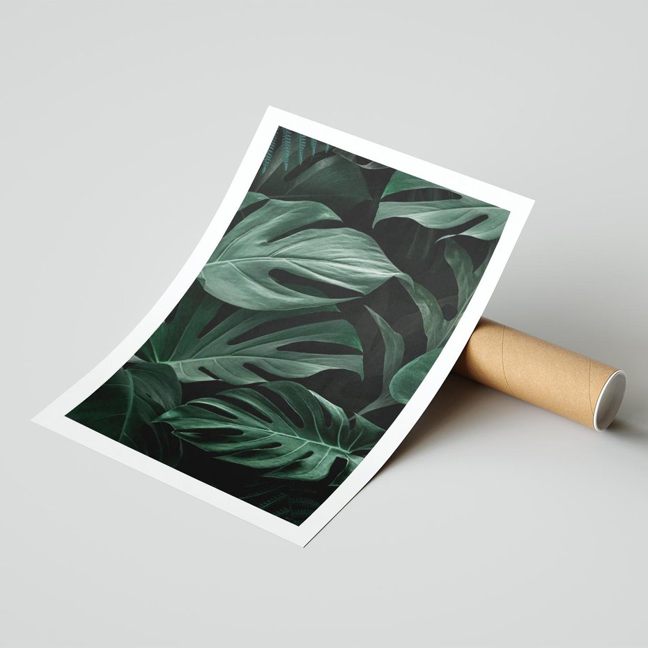 Plakat bez ramy 21x30 - Zielone Liście Monstery w Dżungli - zielone liście monstery, dżungla