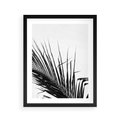 Plakat w ramie 40x50 - Sztuka Natury: Monochromatyczna Palma - palma, czarno białe zdjęcie - rama czarna