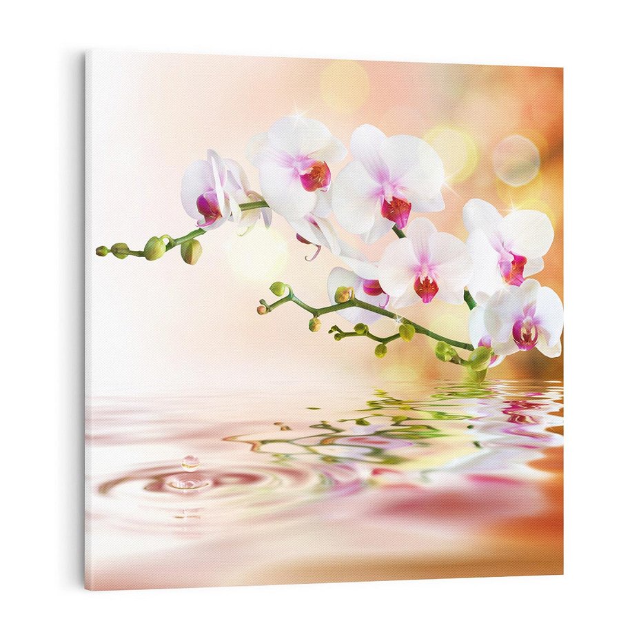 Obraz na płótnie 70x70 - Elegancja orchidei - orchidea, kwiaty