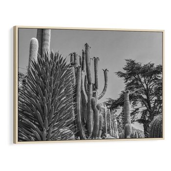 Obraz w ramie 120x80 - Pustynny Klimat - czarno białe zdjecie, pustynia - rama drewno