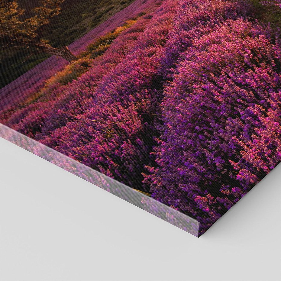 Obraz na płótnie 120x60 - Lawenda: Pachnące pole kwiatów - kwiaty, lawenda