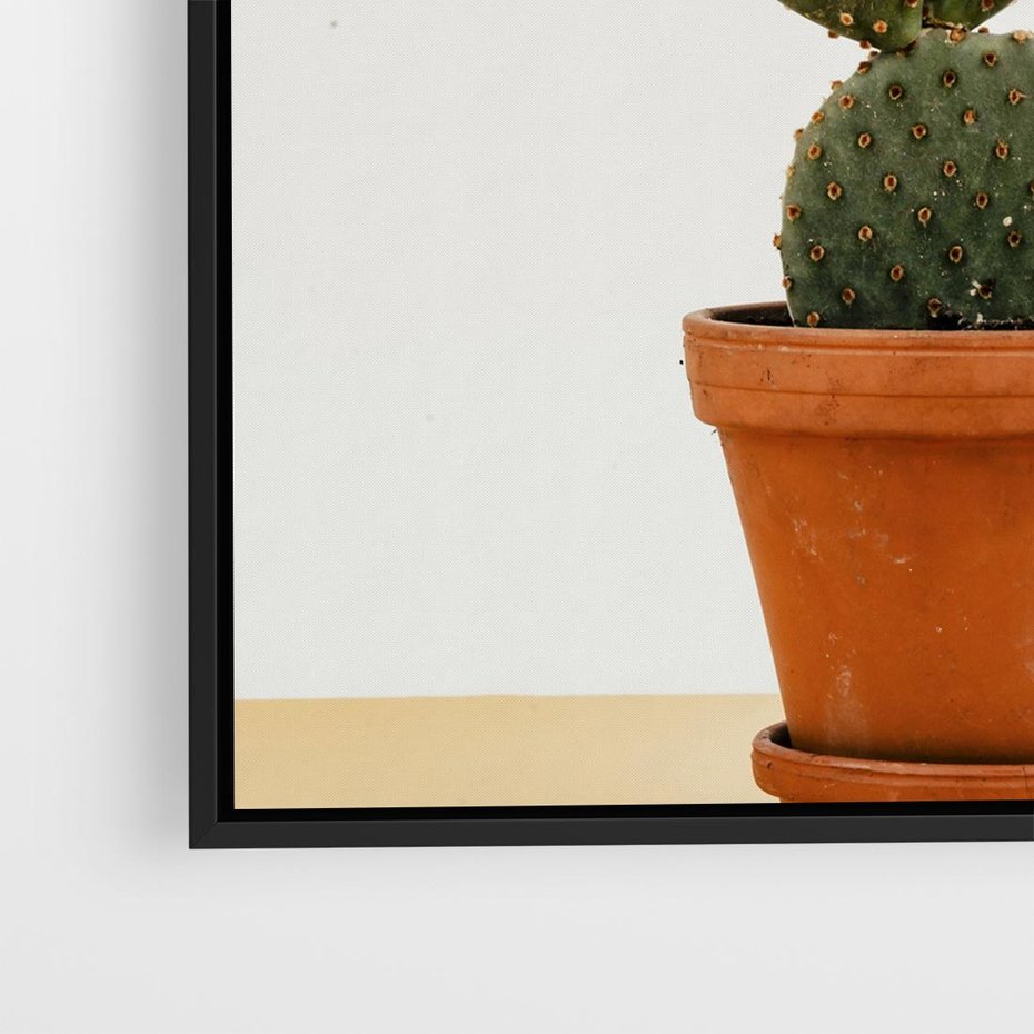 Obraz w ramie 50x50 - Kwiatowy taniec kaktusa - kaktus, kwiat - rama czarna