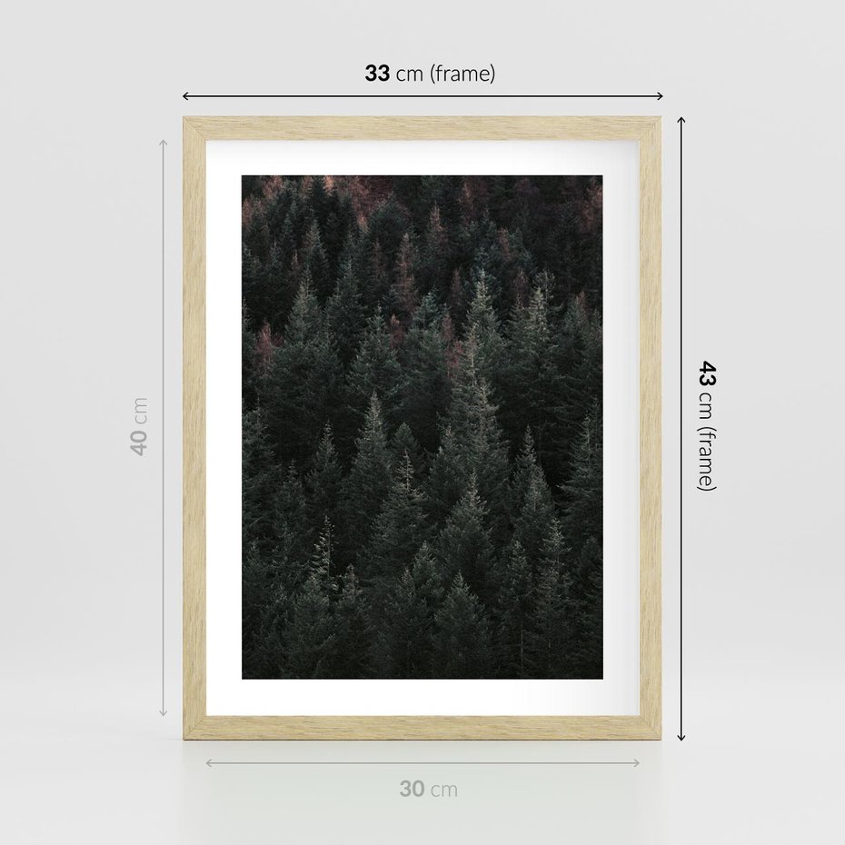 Plakat w ramie 30x40 - Wysoko nad Iglastym Lasem - las, perspektywa - rama drewno