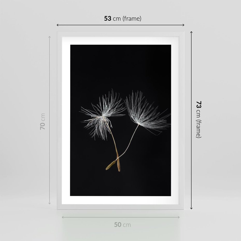 Plakat w ramie 50x70 - Delikatność Wiatru - dmuchawce, makro - rama biała