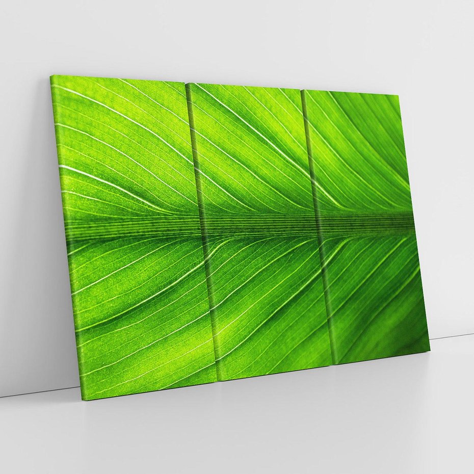 Obraz na płótnie 120x80 - Abstrakcja: interpretacje w liściach - liść, abstrakcja