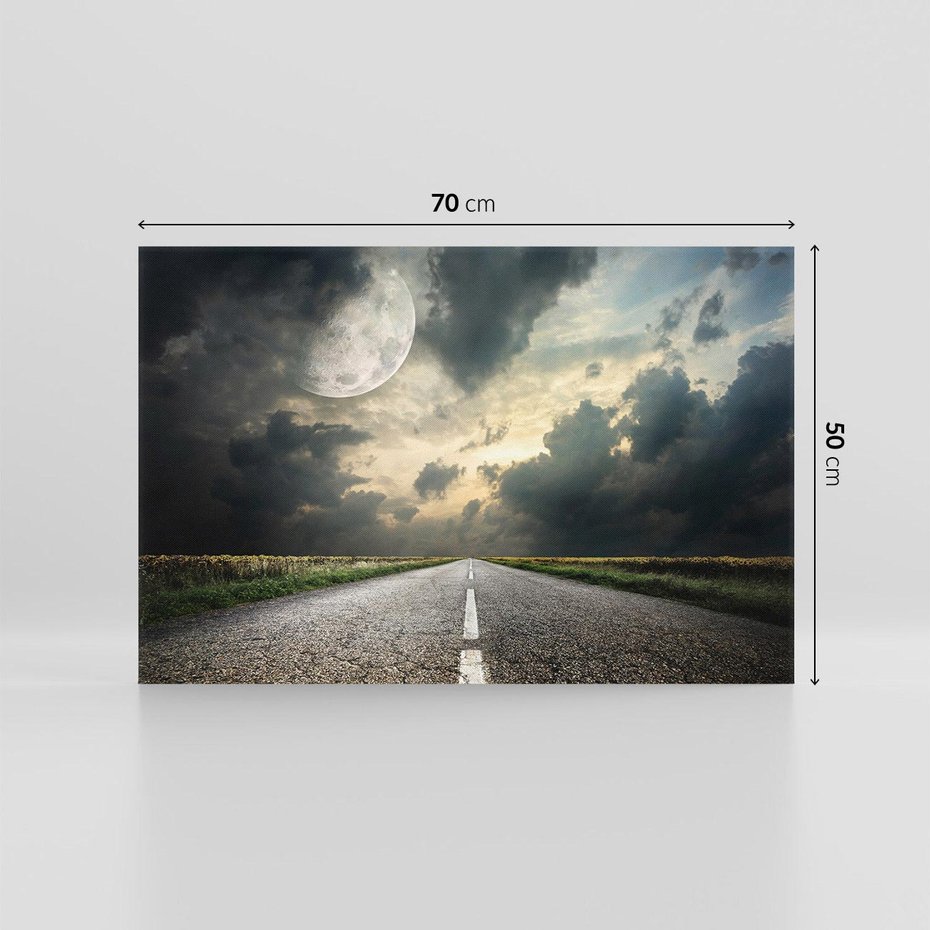 Obraz na płótnie 70x50 - magia nocnej drogi - droga, księżyc