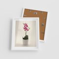 Plakat w ramie 40x50 - Delikatność storczyka orchidei - storczyk, orchidea - rama biała