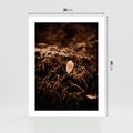 Plakat bez ramy 30x40 - Gałęzie i Liść w Brązowej Tonacji - suche gałęzie, liść