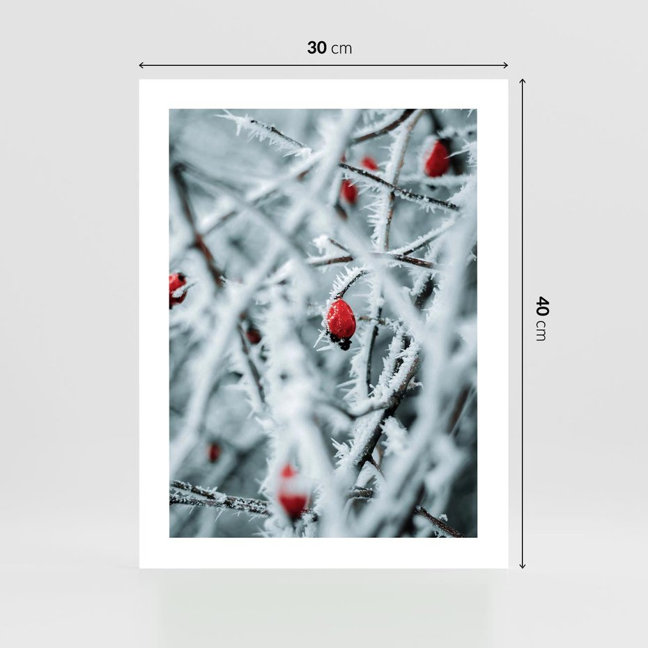 Plakat bez ramy 30x40 - Zima na Gałęziach - zima, oszronione gałęzie