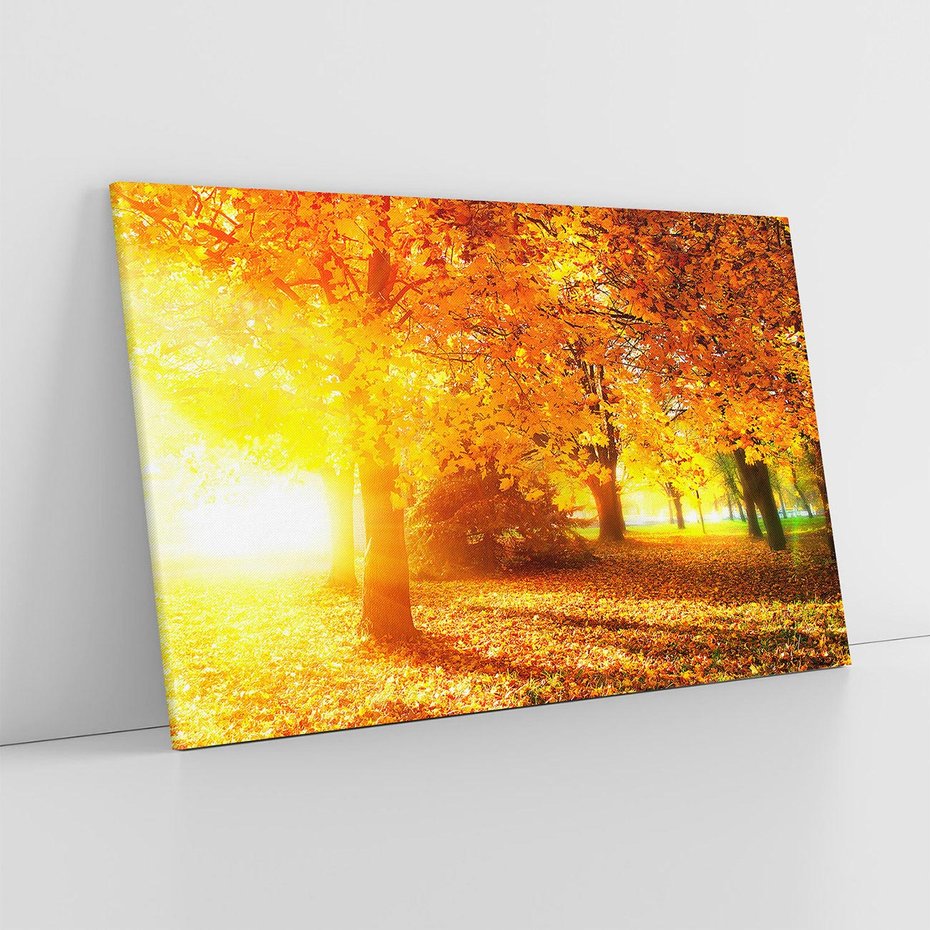 Obraz na płótnie 120x80 - Magia jesiennego lasu - las, drzewa