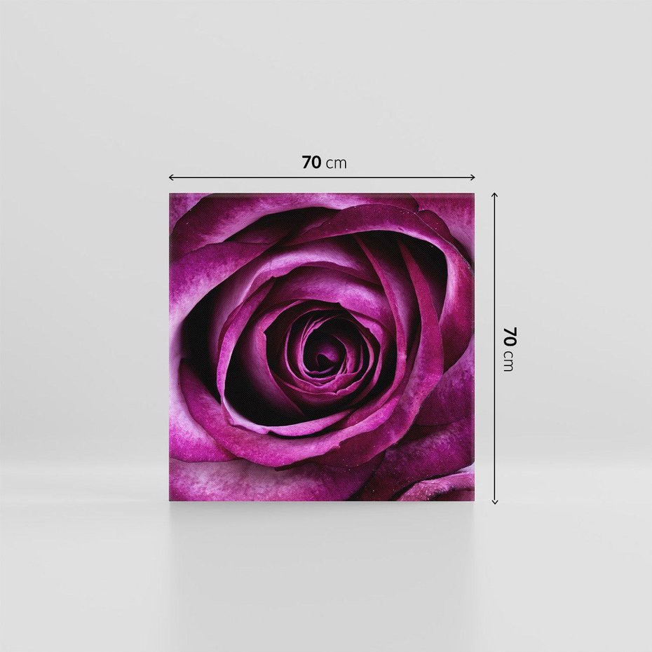 Obraz na płótnie 70x70 - piękno w delikatności - róża, kwiat