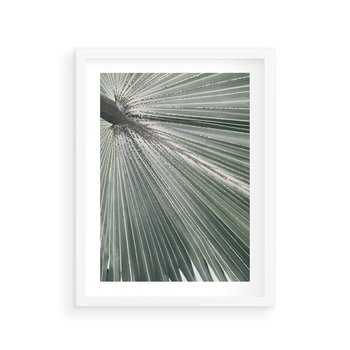 Plakat w ramie 50x70 - Jasnozielony Świat - palma, liść - rama biała