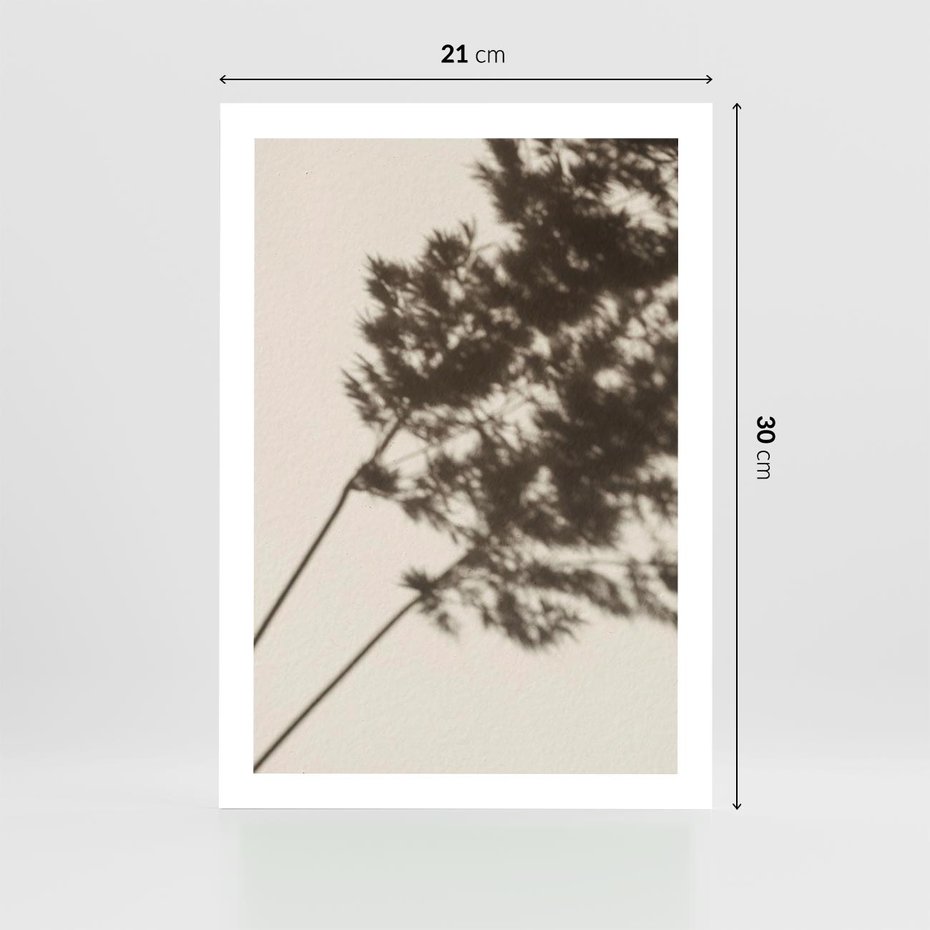 Plakat bez ramy 21x30 - Tajemniczy Cień Traw - cień traw, na ścianie